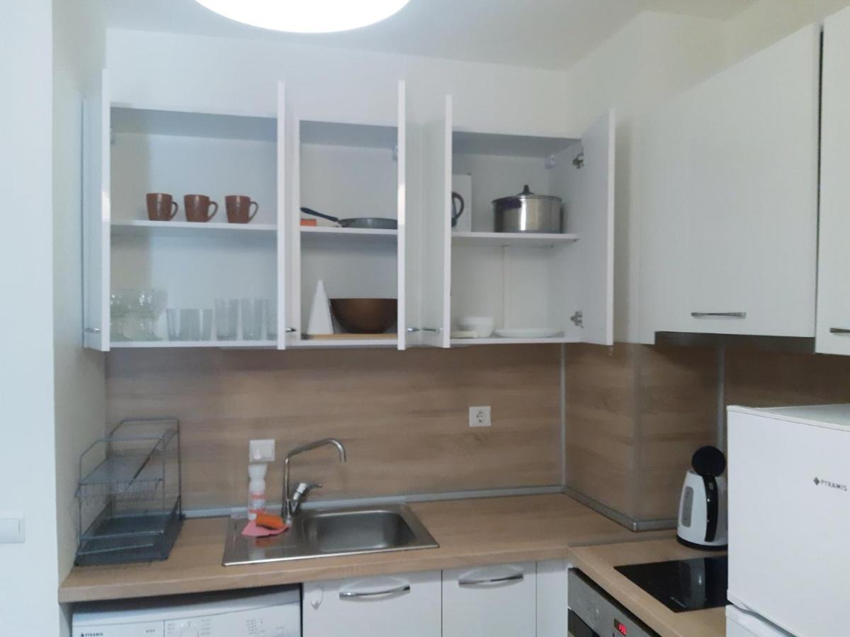 Huge Apartment With A Parking Space In The Same Building 소피아 외부 사진
